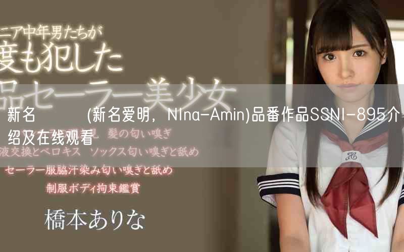 新名あみん(新名爱明，NIna-Amin